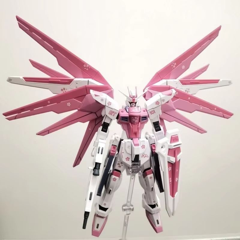 JMS HG 1/144 ZY-06 Freedom Ass - đánh giá và giá Bandai Model Gundam Hg