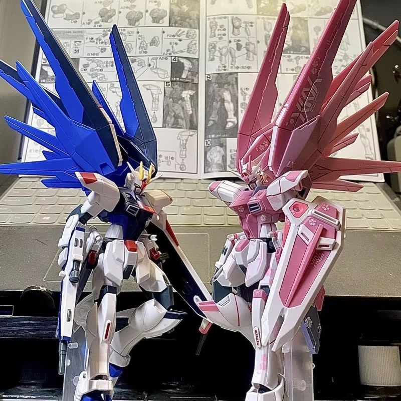 JMS HG 1/144 ZY-06 Freedom Ass - đánh giá và giá Bandai Model Gundam Hg